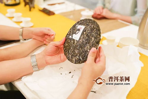 佳兆業(yè)興海茶2020年經(jīng)銷商大會(huì)暨年度新品發(fā)布會(huì) 鵬城啟航，共創(chuàng)茶葉代理與銷售新篇章
