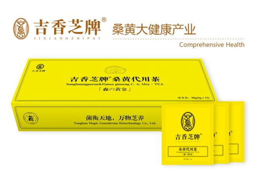 桑黃茶全國區(qū)域代理商招募 誠邀合作伙伴，共享健康茶飲藍(lán)海市場