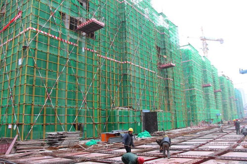 鼎泰 金色家園丨工匠心筑精品,美好生活在靠近 最新工程進(jìn)度播報(bào)