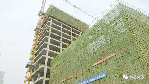 黃陂區融媒體中心大樓主體工程順利封頂，二期建設即將全面展開